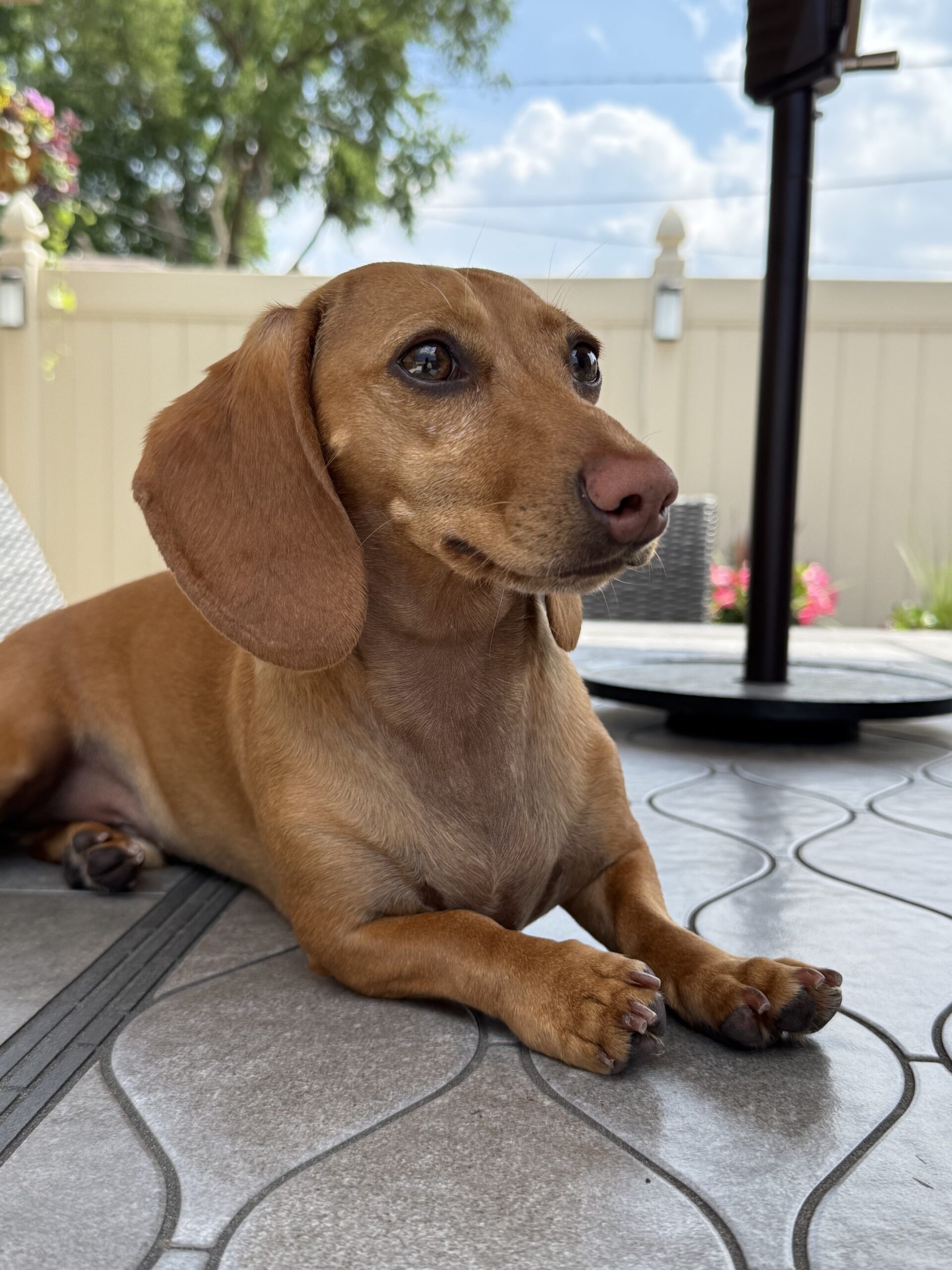 Photograph of Max